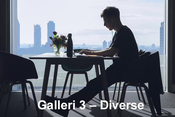 Galleri 3